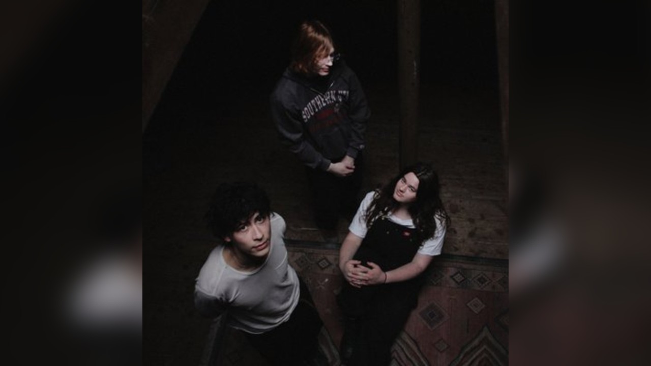 Split the Ticket - supporting thistle.