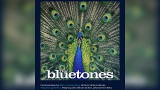The Bluetones: 'Expecting To Fly' 30th Anniversary Tour