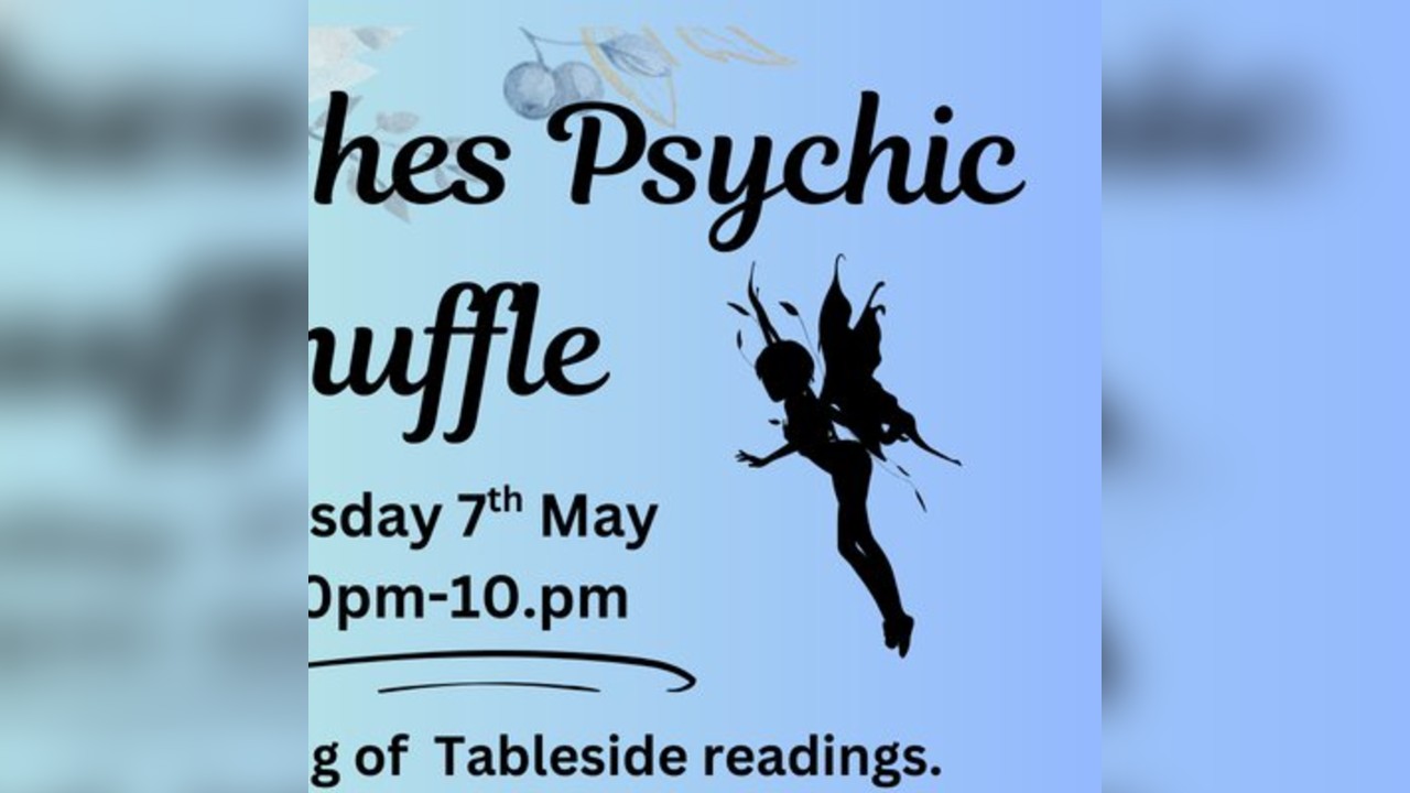 Fairywishes Psychic Shuffle