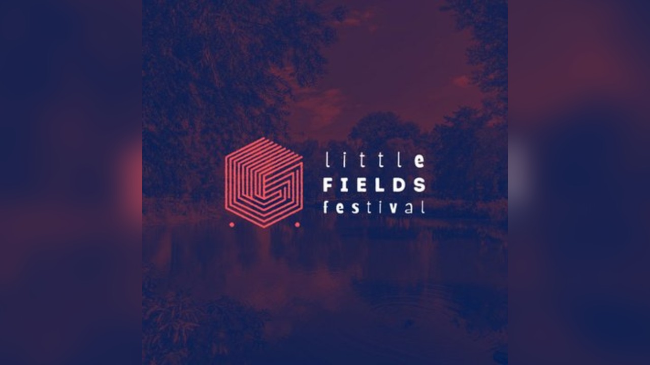 Litte Fields Festival: Year One