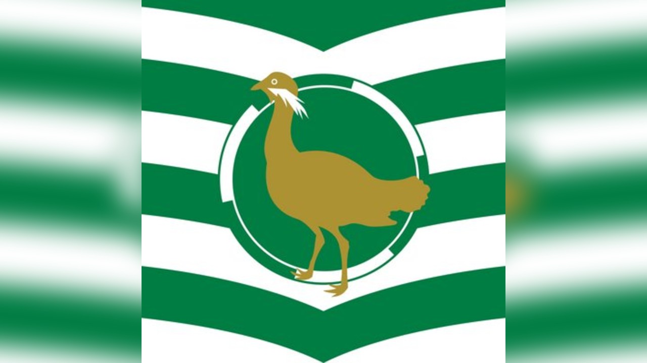 Swindon Balloon Festival