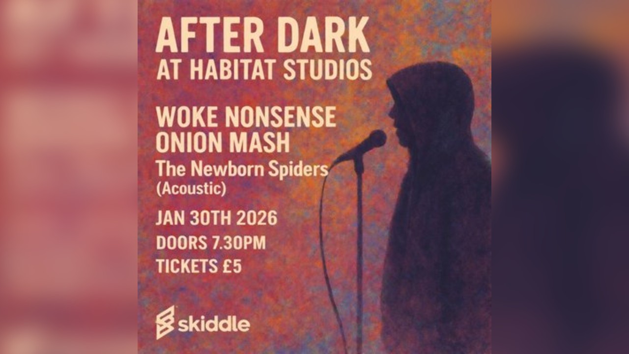 Woke Nonsense-Onion Mash-Newborn Spiders (Acoustic)