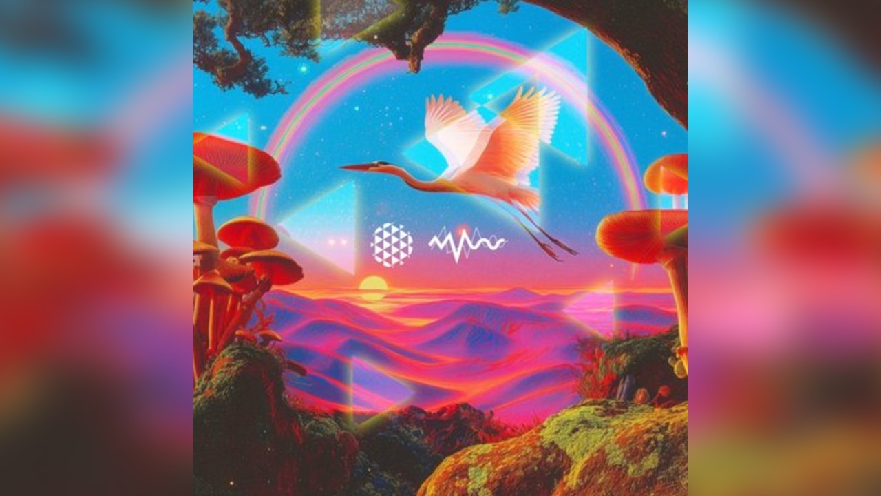 14 years of discotech x UNUM Festival w/ Lukas Wigflex