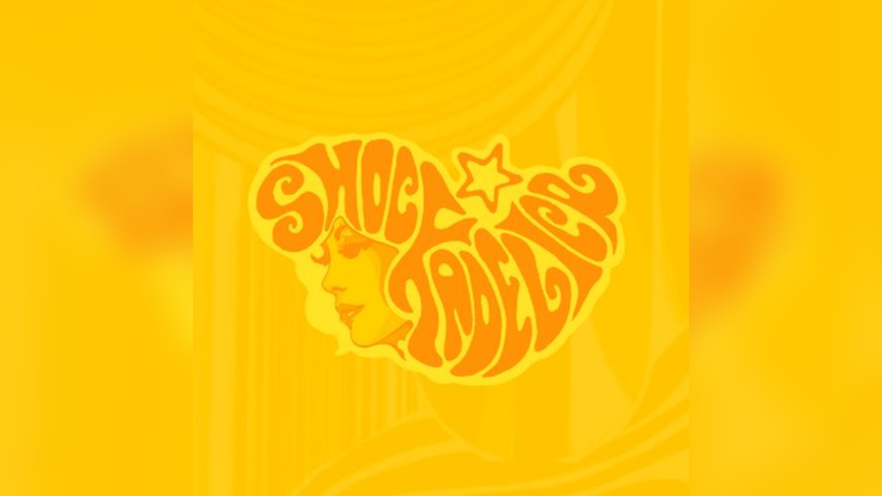 Shockadelica's Friends Live Gig