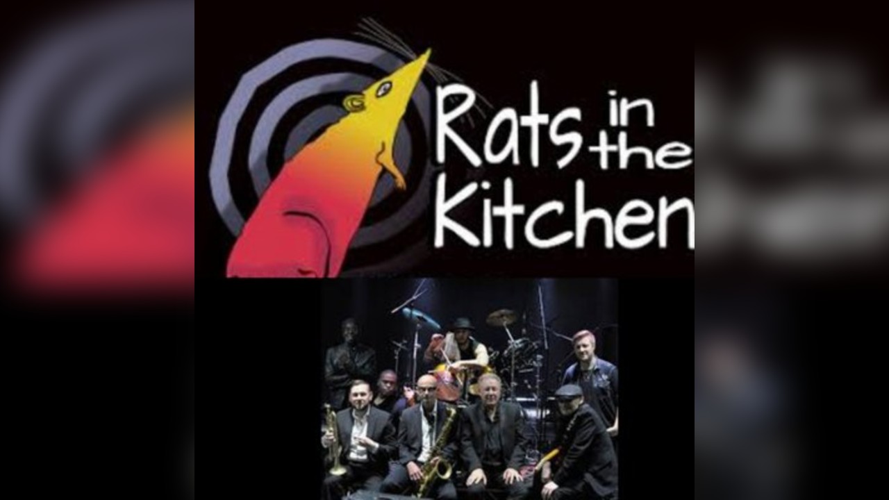 Rats In The Kitchen