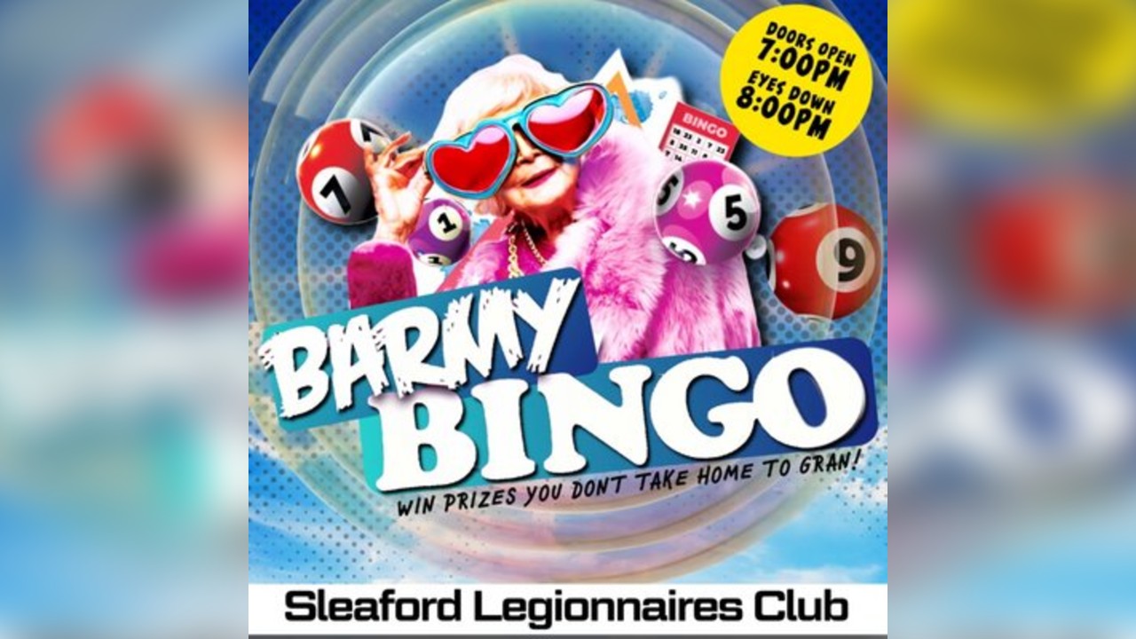 Barmy Bingo