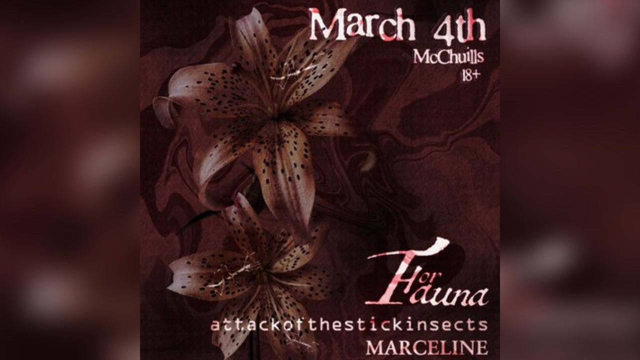 ForFauna, attackofthestickinsects, Marceline at McChuills 04/03