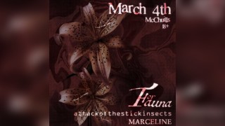 ForFauna, attackofthestickinsects, Marceline at McChuills 04/03