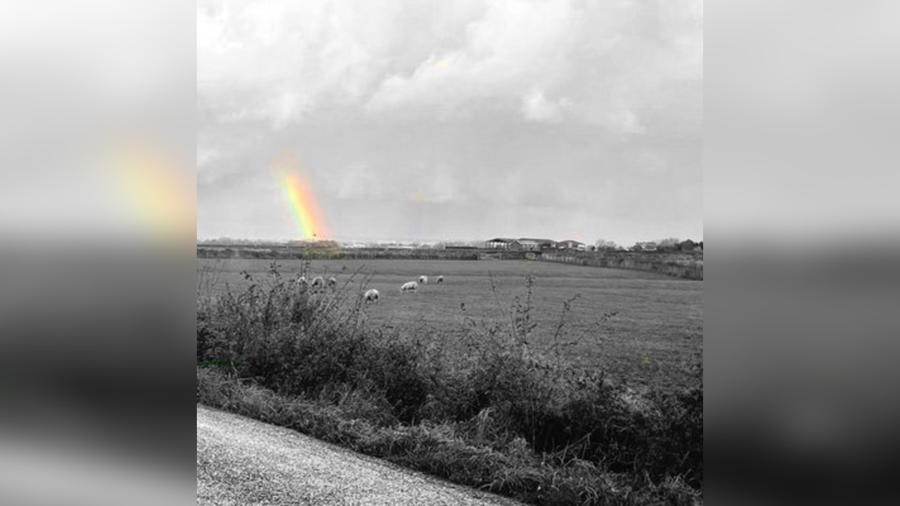 The Nebraska Tour - A Tribute