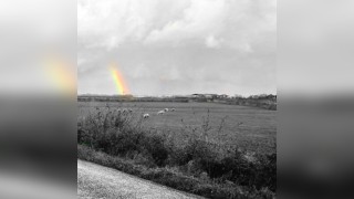 The Nebraska Tour - A Tribute