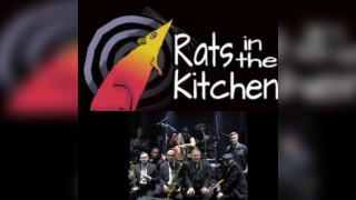 Rats In The Kitchen