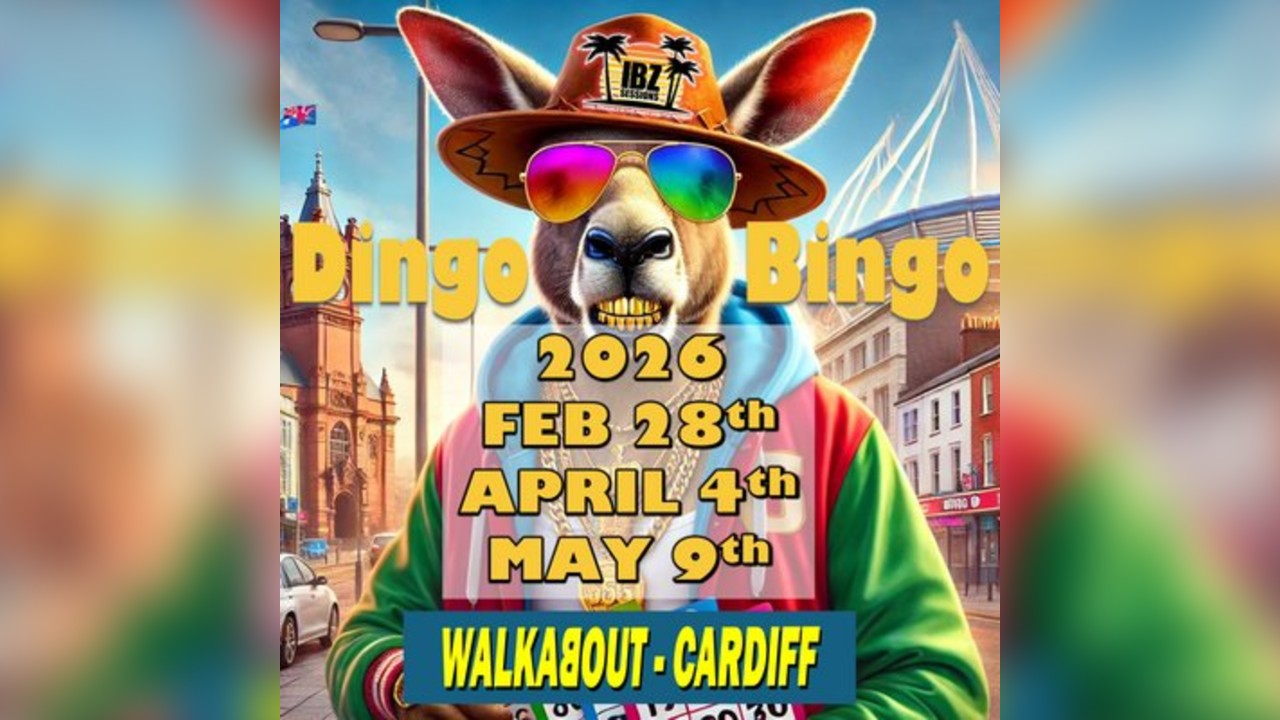 Dingo Bingo