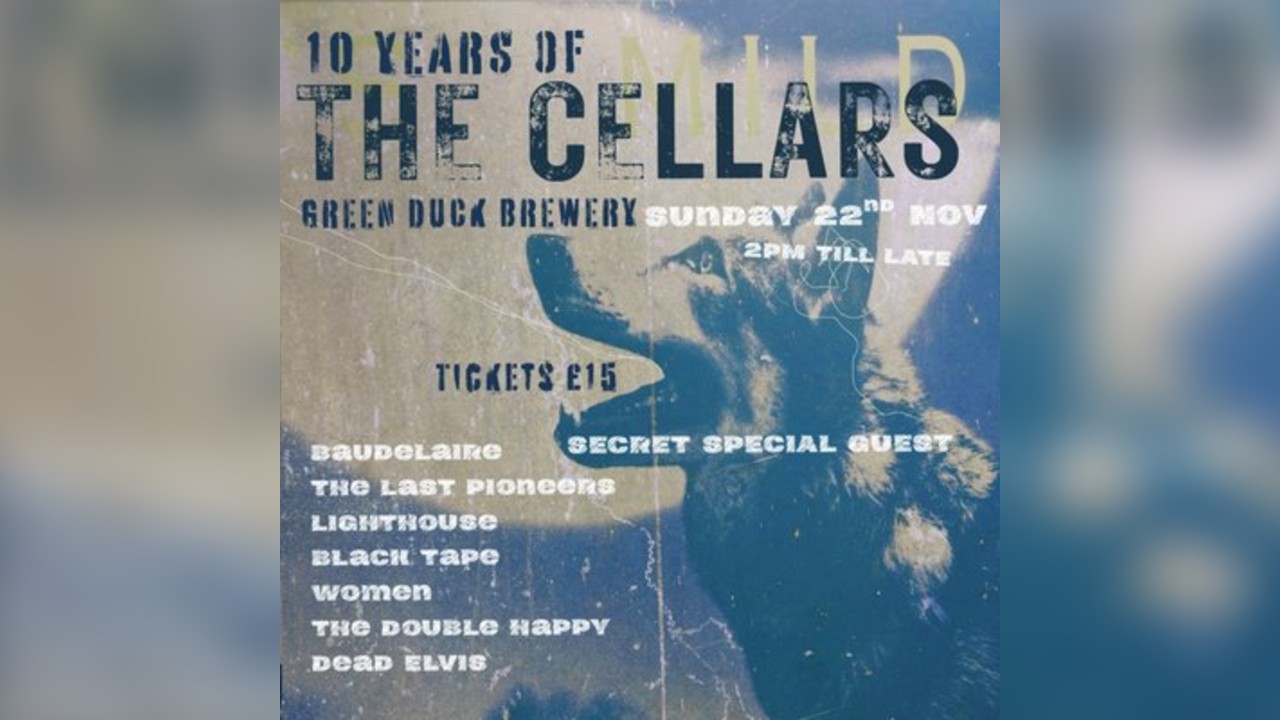 10 Years of the Cellars