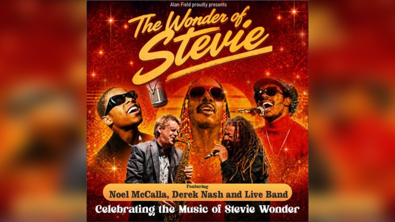 The Wonder of Stevie
