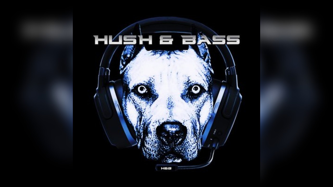 Hush & Bass - Jungle/Dub/DnB/Reggae/Techno/Trance
