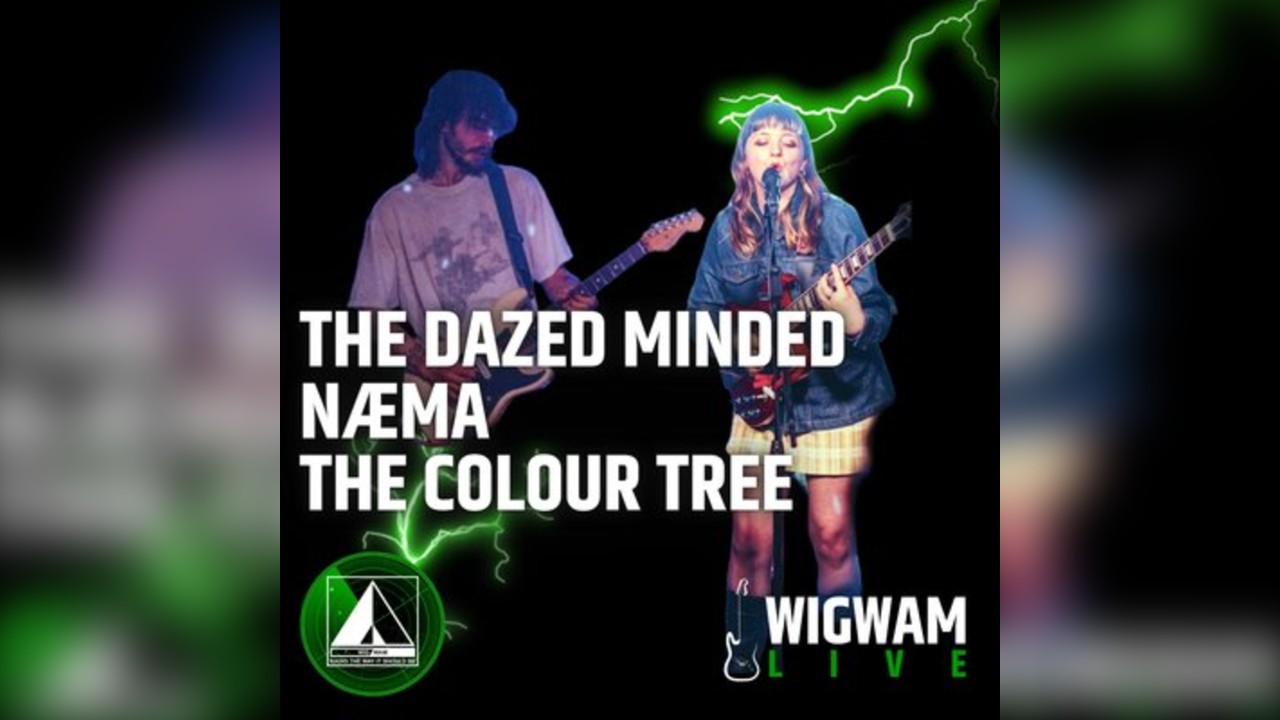 Wigwam Live at The Purple Turtle, Reading
