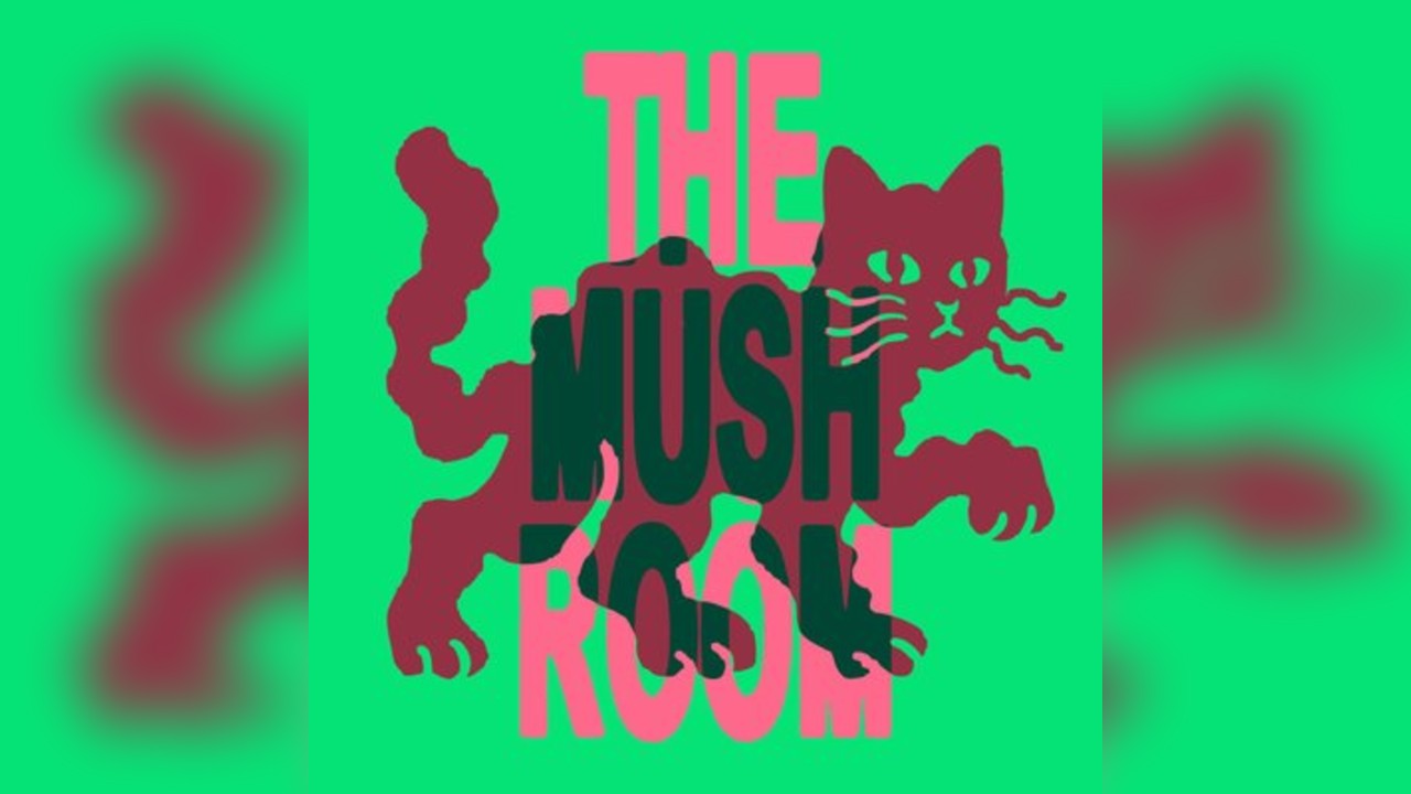 The Mushroom X Féline