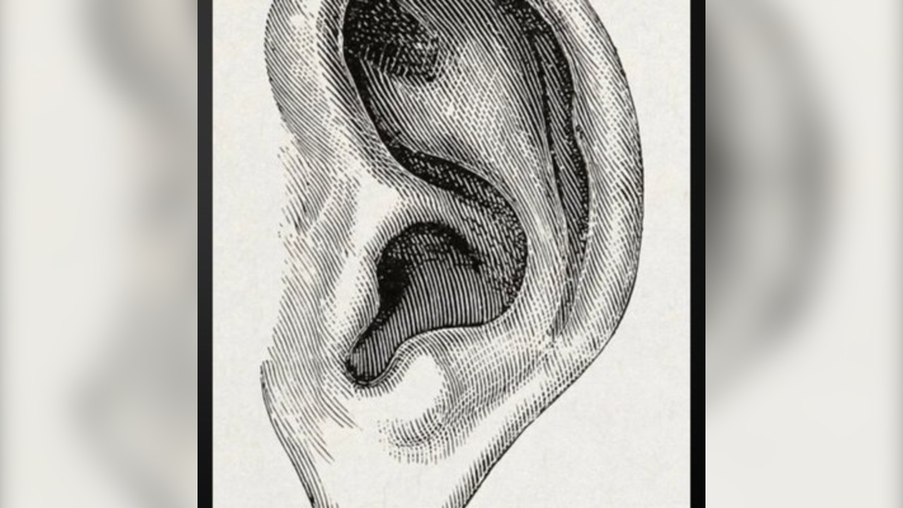An Evening of Noise