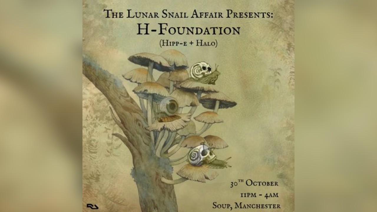 The Lunar Snail Affair Presents: H-Foundation (Extended Set)