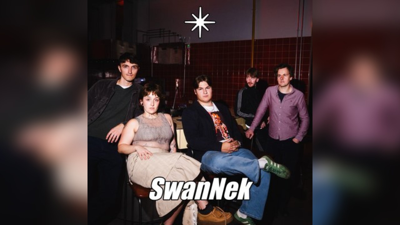 SwanNek - live