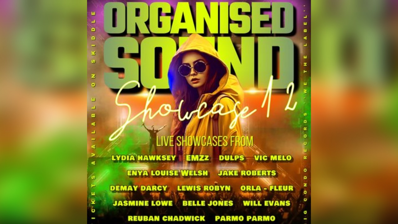 Big Condo Records Presents Organised sound 12