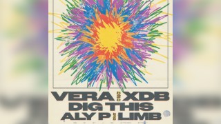 The Wonder Pot X Zuku: VERA B2B XDB