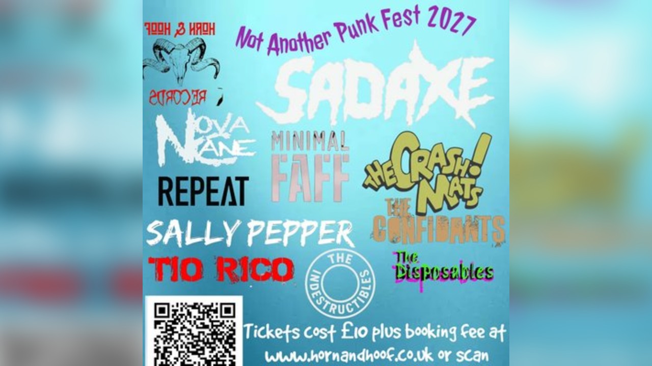 Not Another Punk Fest 2027