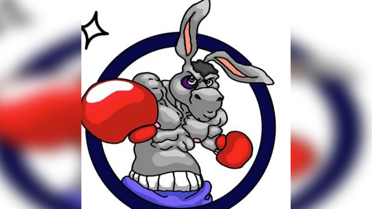 Donkey Punch
