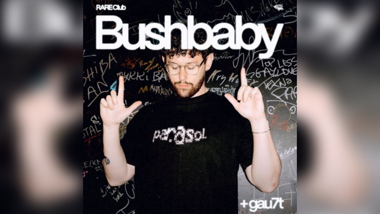 Rare presents Bushbaby