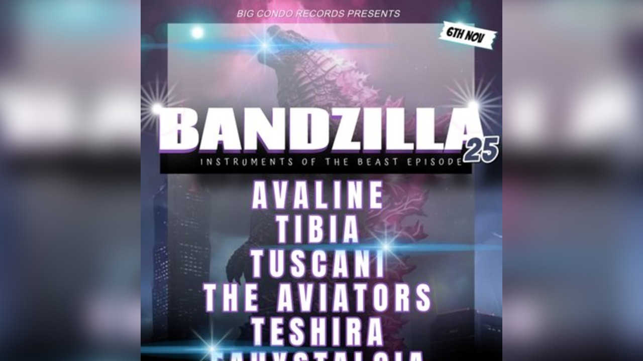 Big Condo Records Presents Bandzilla 25