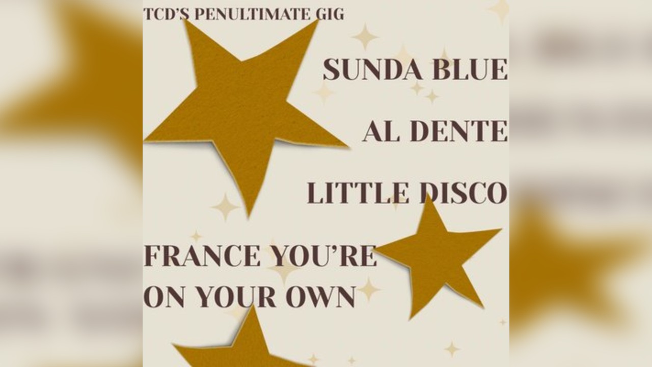 TCD: November Show - Sunda Blue, Little Disco, Al Dente, FYOYO