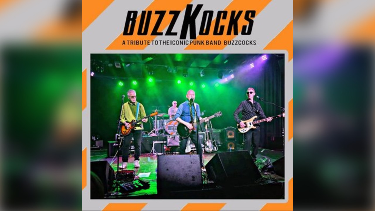 Snug Live Sessions w/Buzzkocks