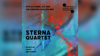 Between Notes - Sterna Quartet