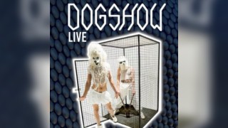Dogshow live