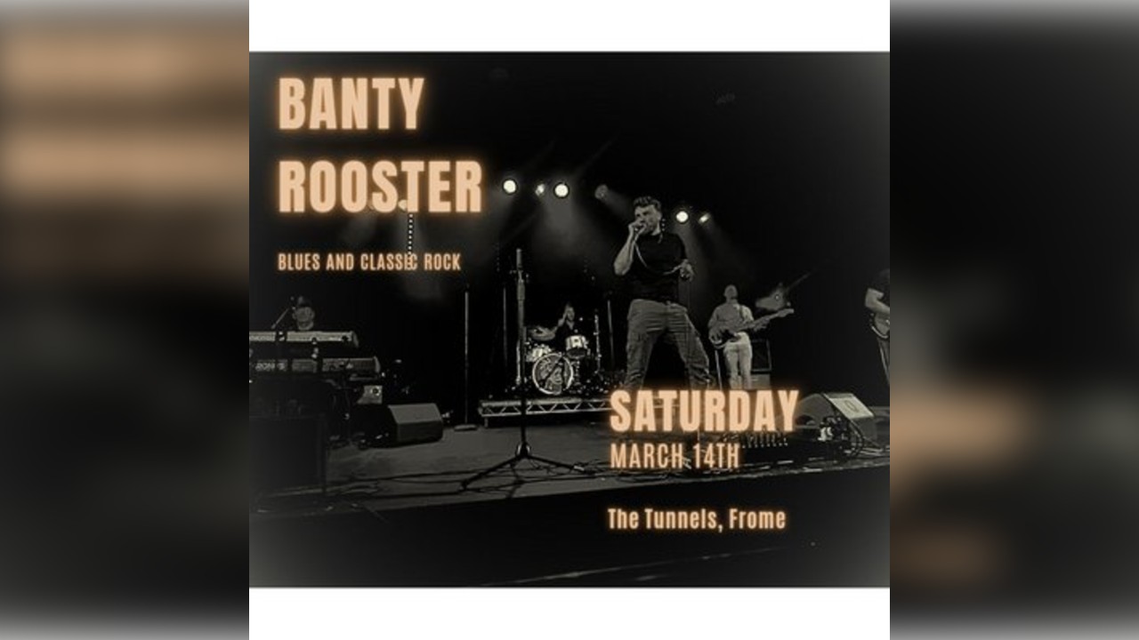 Banty Rooster