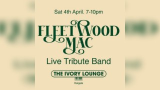 FLEETWOOD MAC - LIVE IN REIGATE (Tribute Band)