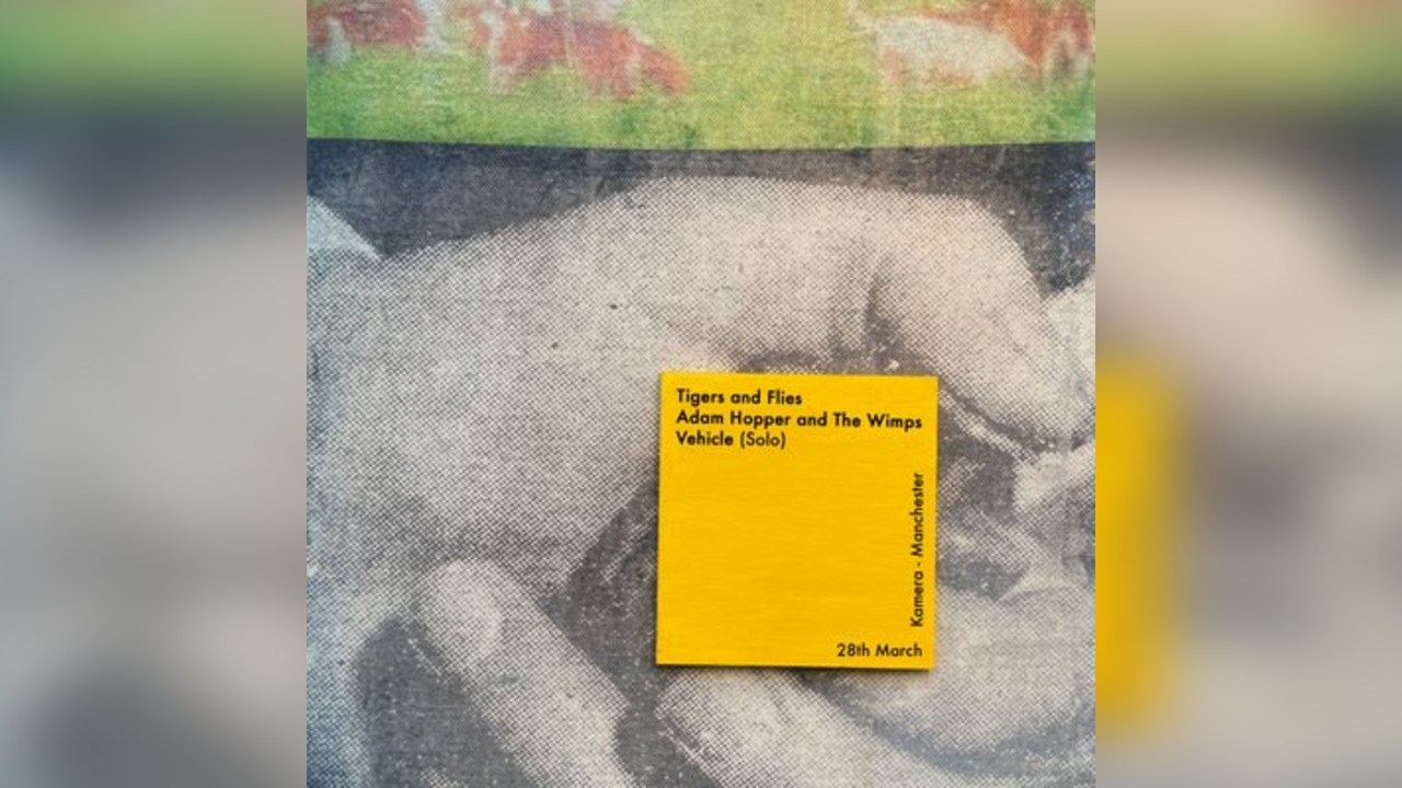 Tigers and Flies LP Fundraiser W/ Adam Hopper + Vehicle (Solo)