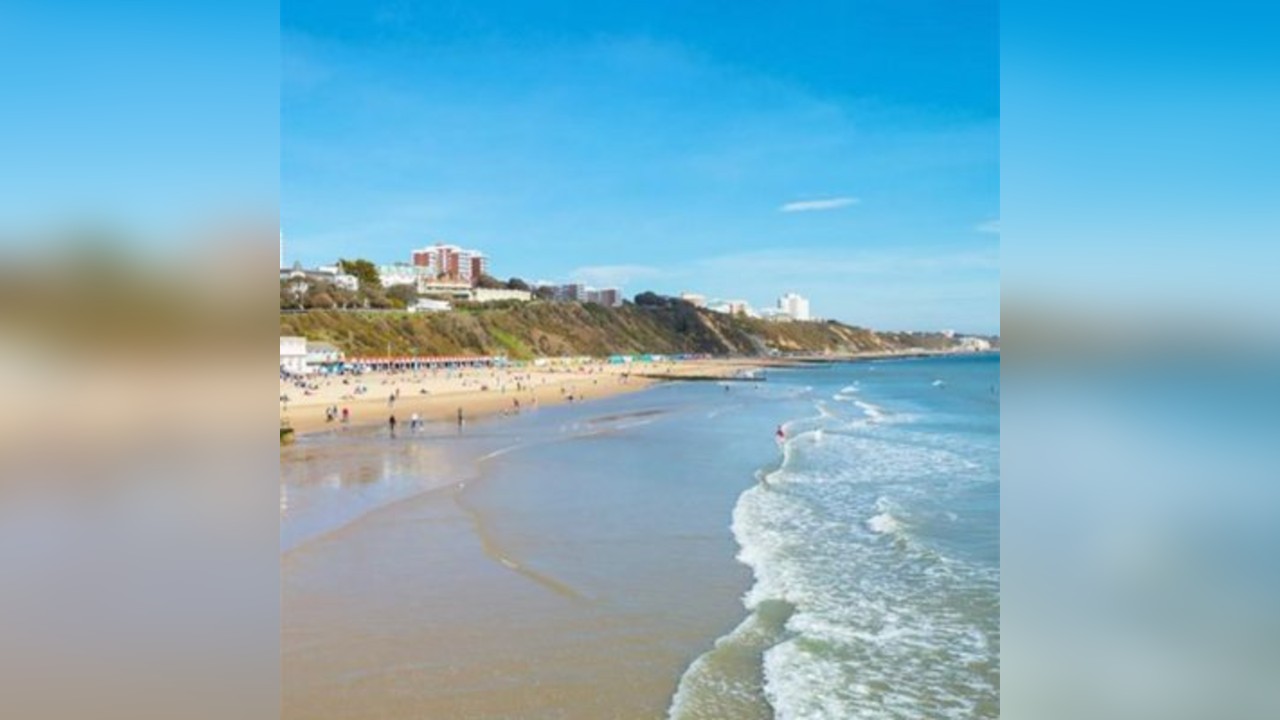 Paharas Musica with Scott Diaz, Richard Earnshaw & more