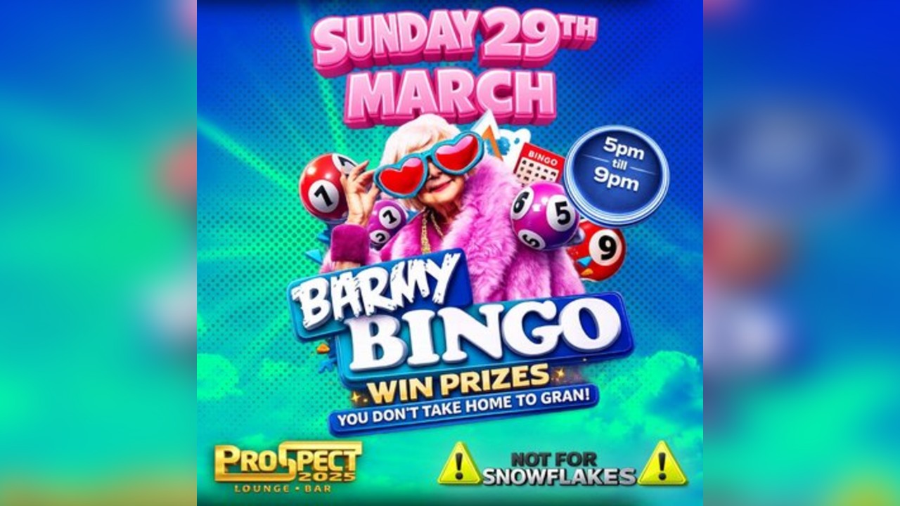 Barmy Bingo