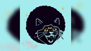 DISCO PUSS: The Late Night Disco - Bring your own Booze & Groove