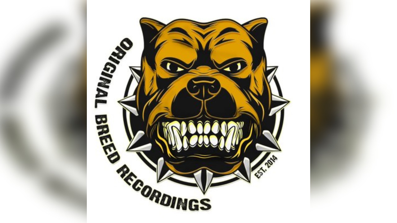 Original Breed Recordings And Friends Present Basement sessions