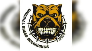 Original Breed Recordings And Friends Present Basement sessions