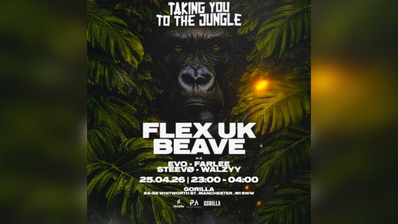 Taking You To The Jungle