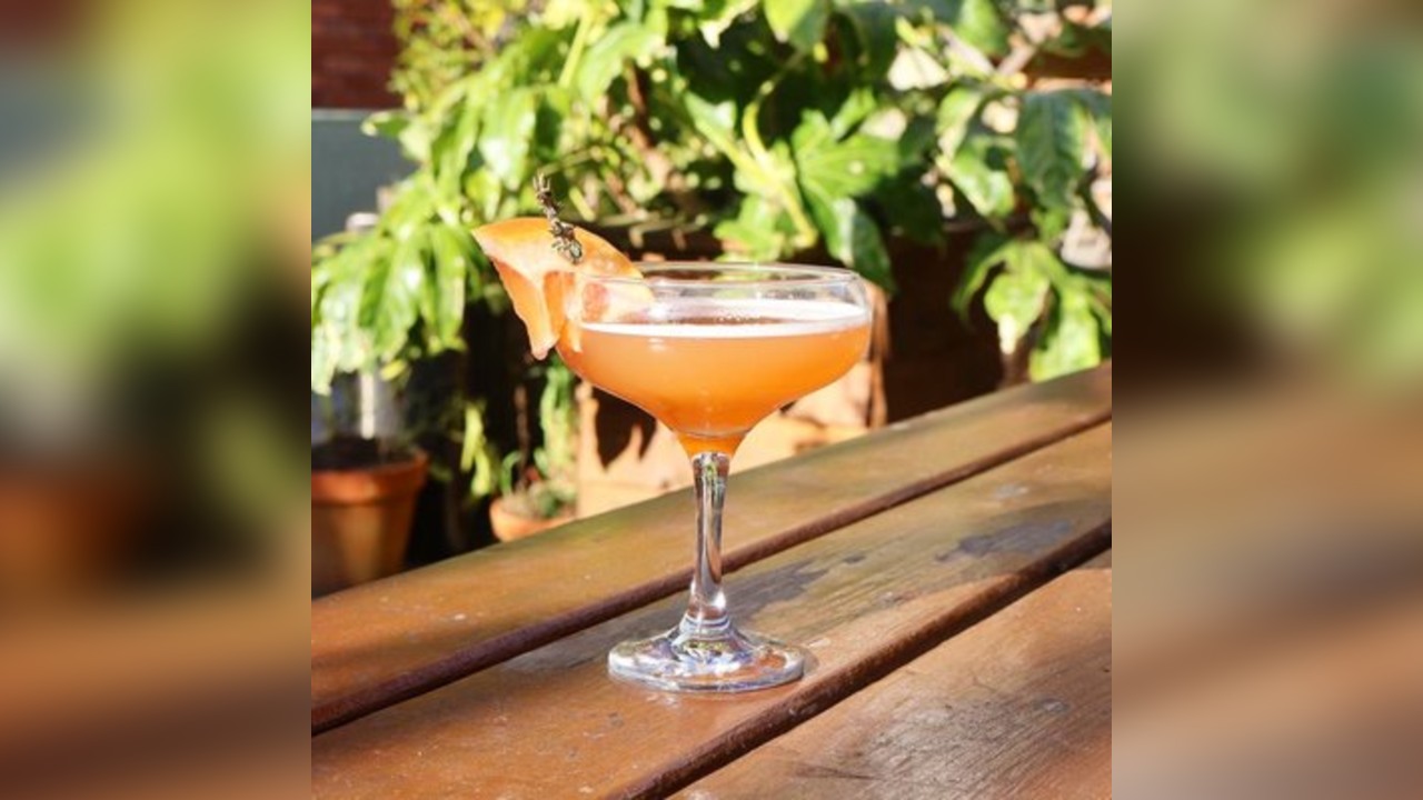 241 cocktails - happy hour at Paradise Garden