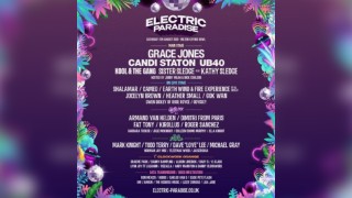 Electric Paradise