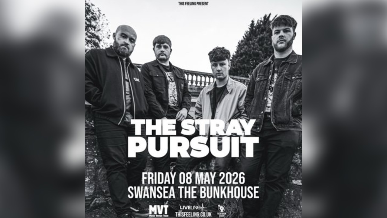 The Stray Pursuit - Swansea