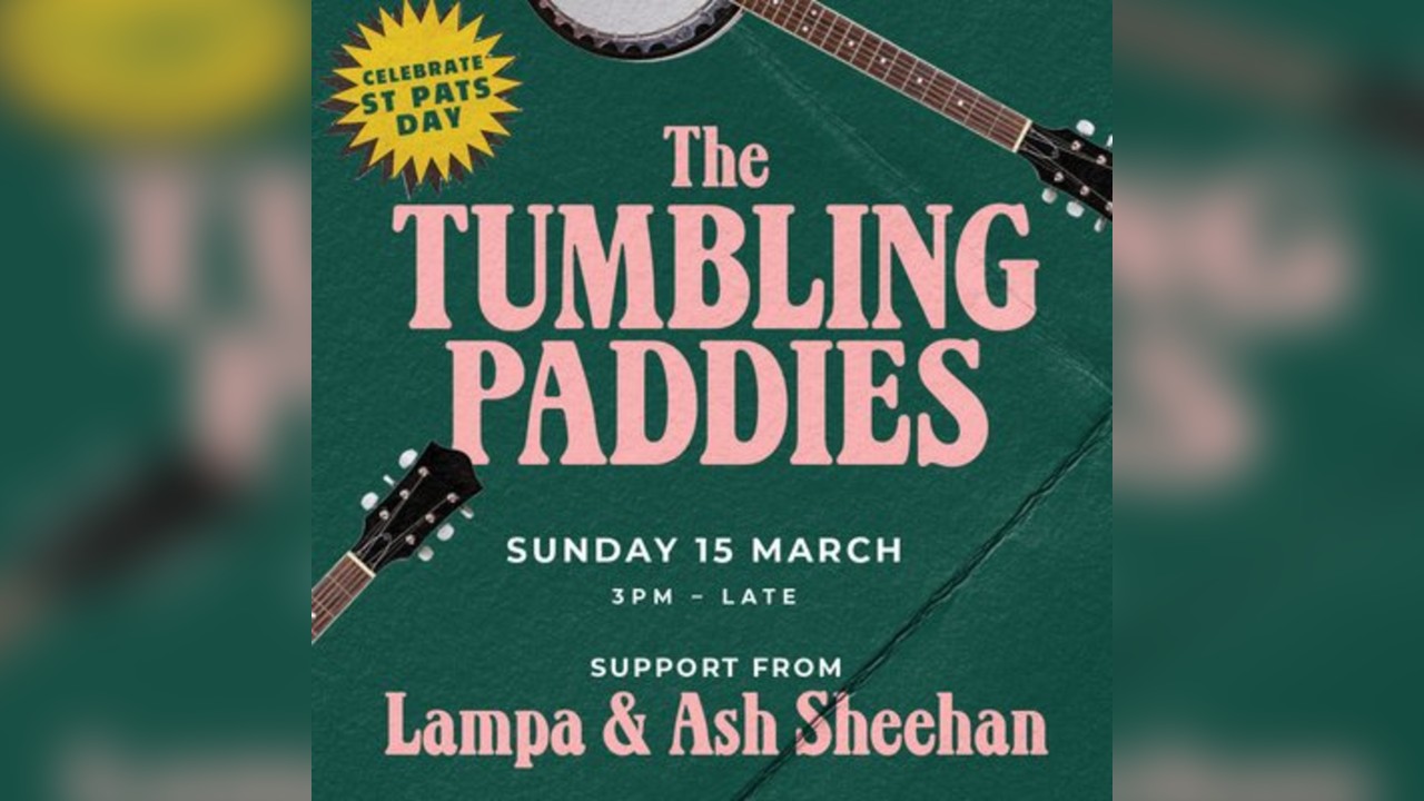 Pairc St Patrick's Day Festival Birmingham - Families welcome