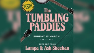 Pairc St Patrick's Day Festival Birmingham - Families welcome