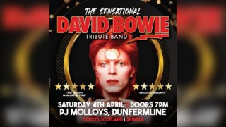 The Sensational David Bowie Tribute Band
