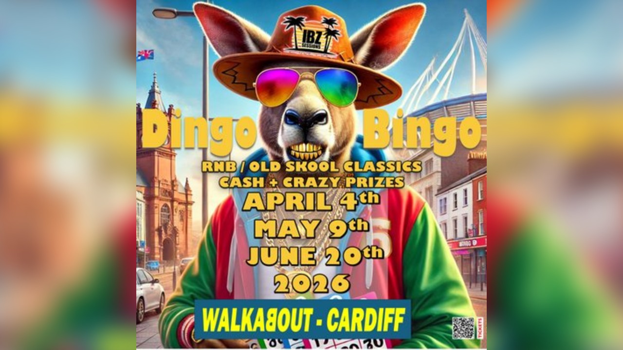 Dingo Bingo